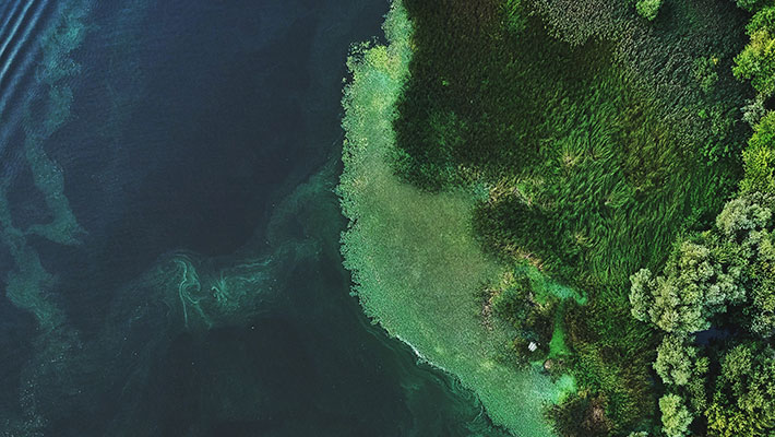 Aerial view of an Island
