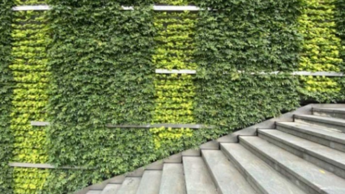 Green wall