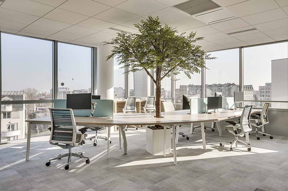 PepsiCo open space avec arbre au centre 