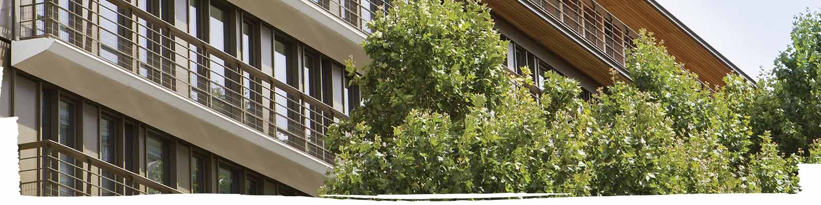 Leaves and building