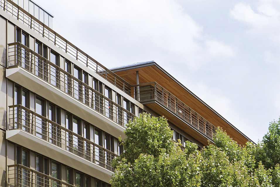 Leaves and building