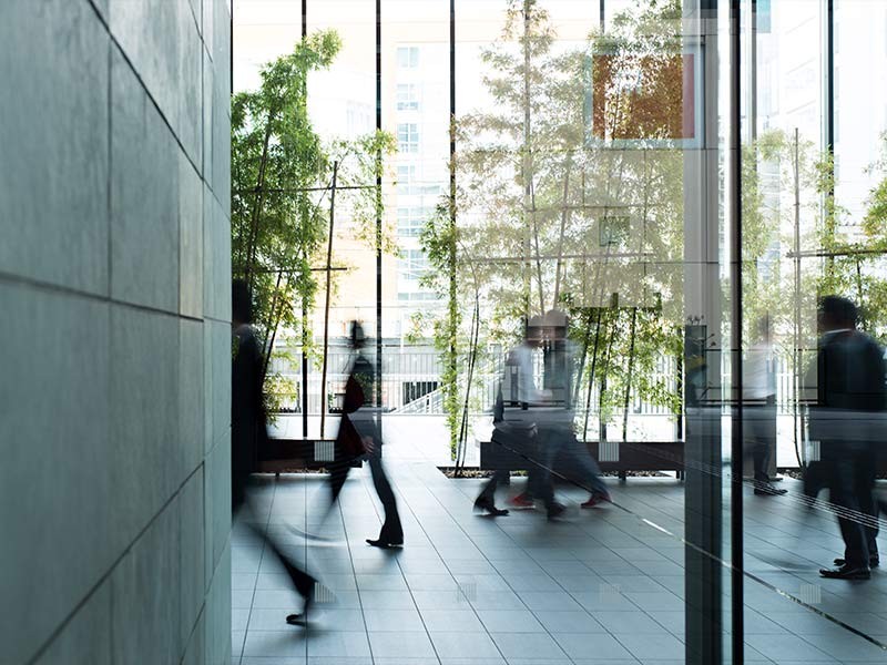 Business Firm Interior with trees