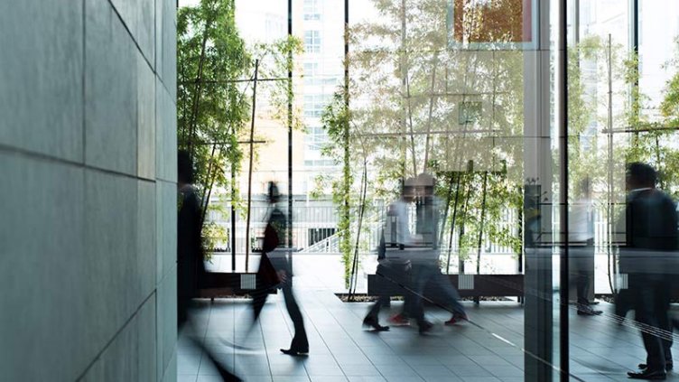 Business Firm Interior with trees