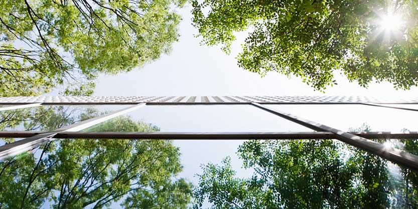 Sustainable building surrounded by trees