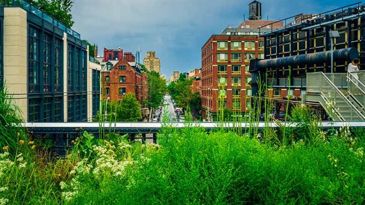 Green path next to buildings covered in plants