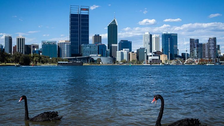 View of ducks in a pond near real estate office buildings in a smart city